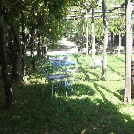 Emy'S Country House Appartement Castellammare di Stabia Buitenkant foto