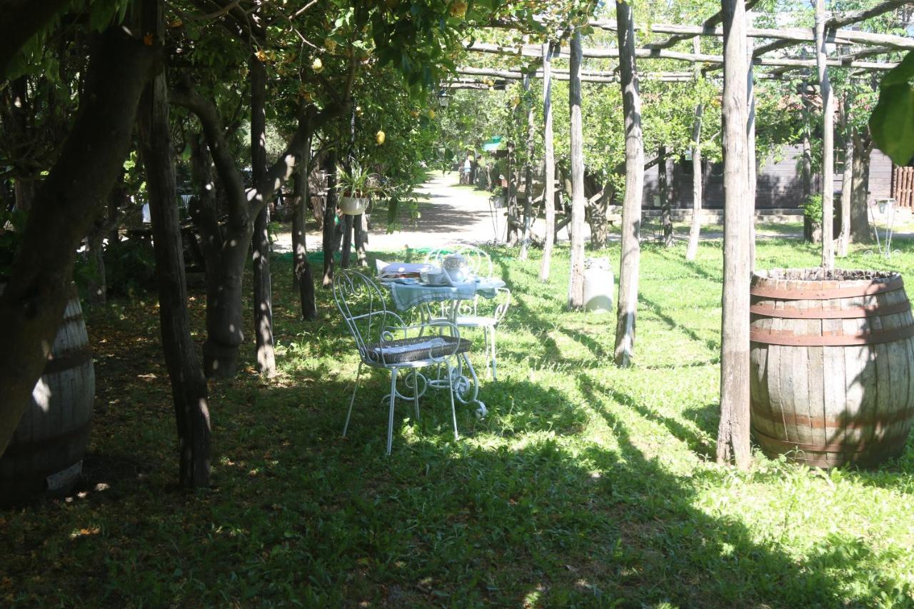 Emy'S Country House Appartement Castellammare di Stabia Buitenkant foto