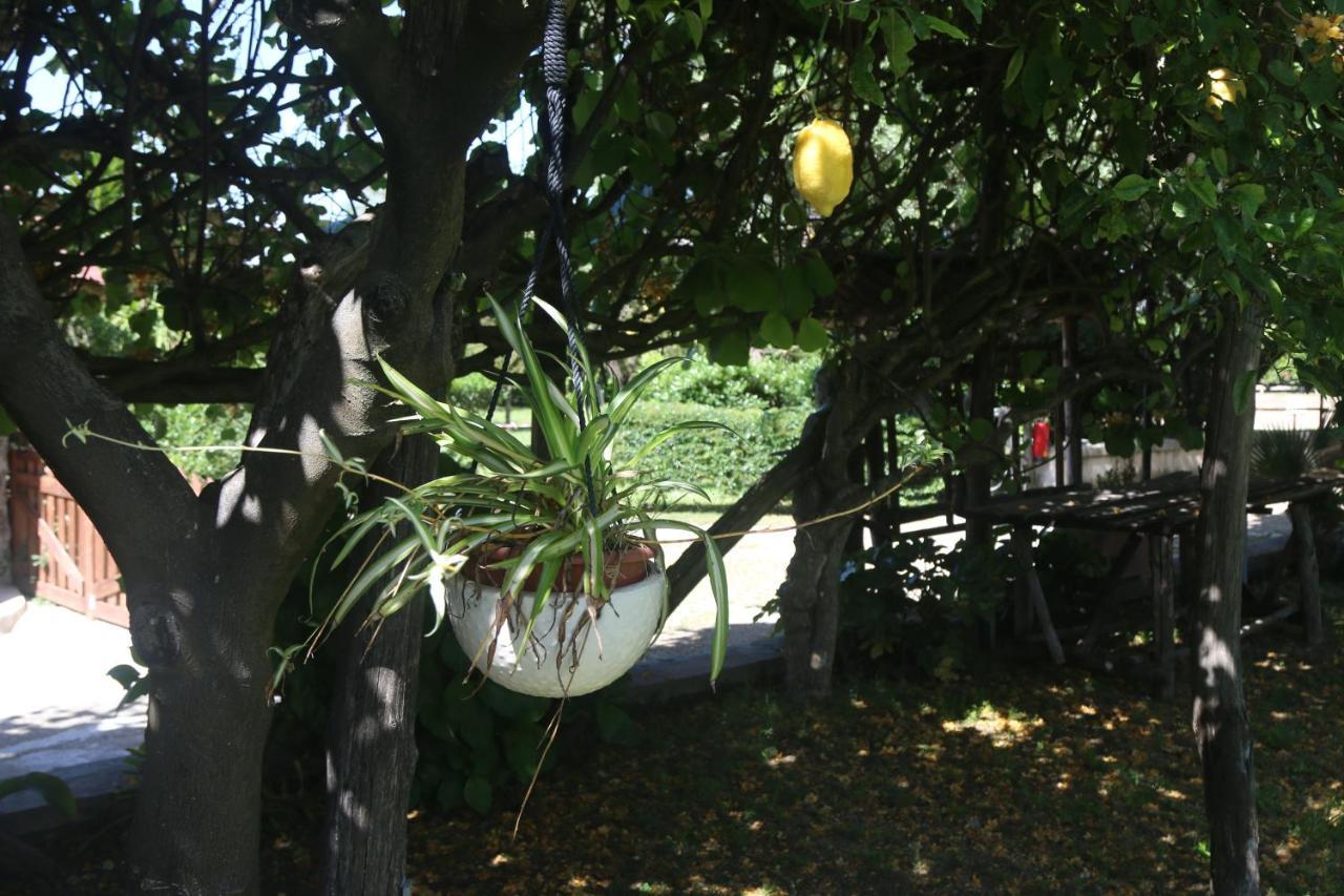 Emy'S Country House Appartement Castellammare di Stabia Buitenkant foto