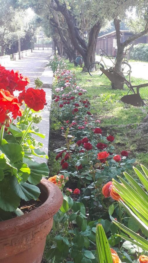 Emy'S Country House Appartement Castellammare di Stabia Buitenkant foto